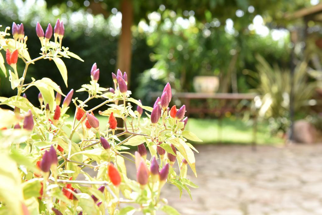 B&B Villa Anastasia Club Mesagne Eksteriør bilde